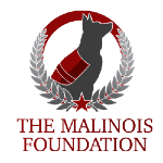 The Malinois Foundation - Dog Training Elite First Coast