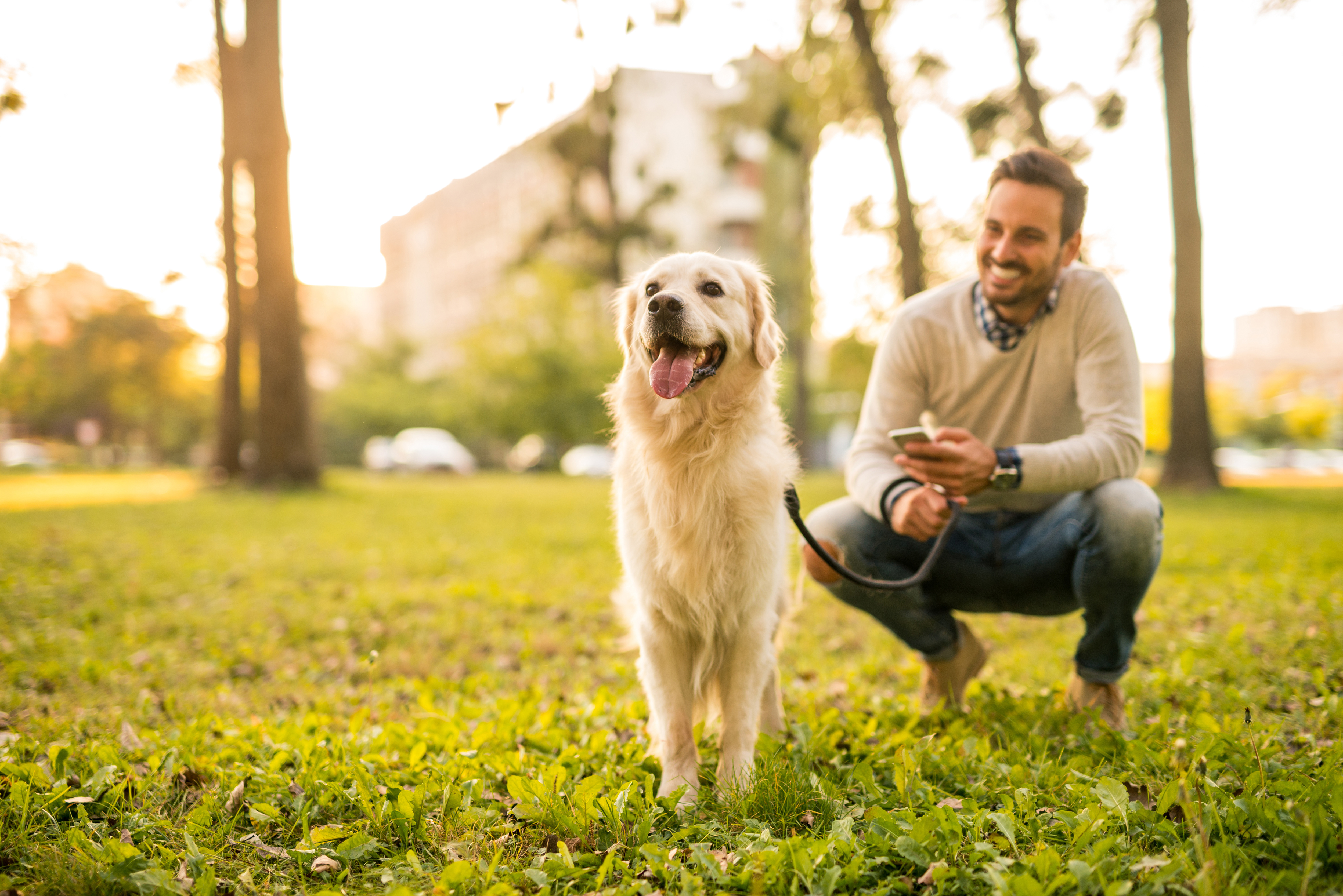 A well trained dog in a park with its owner.