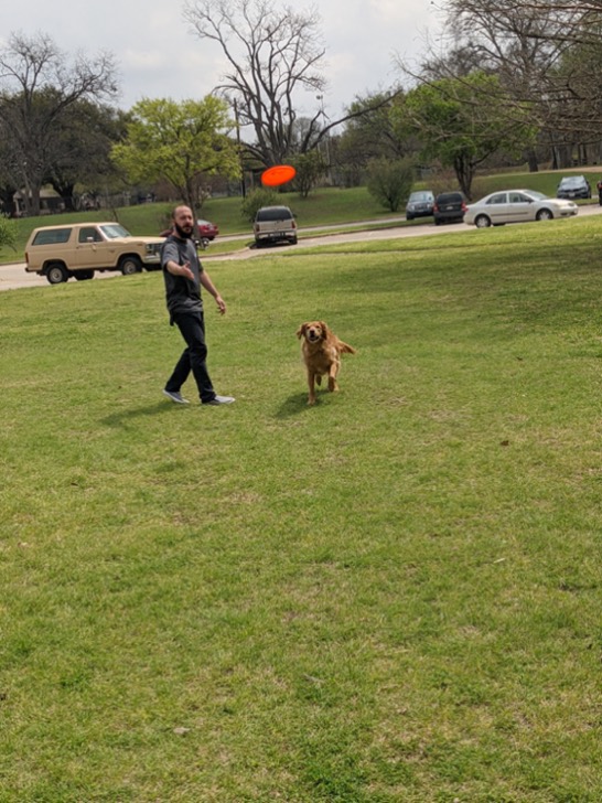 Dog Training Elite Owner plays catch with dog.