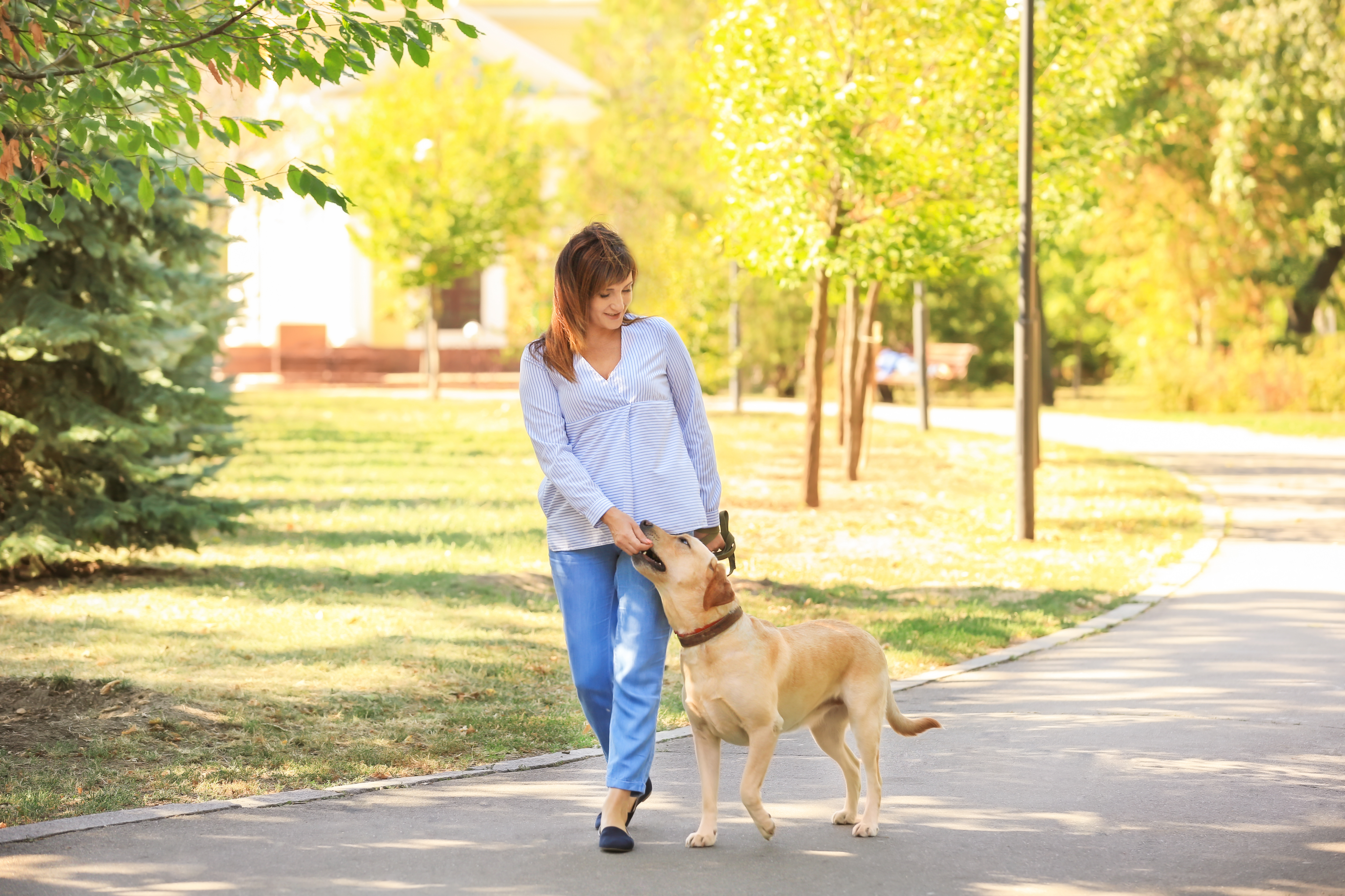 A dog owner and her dog trained by the experts at Dog Training Elite walking in a Goodyear park.