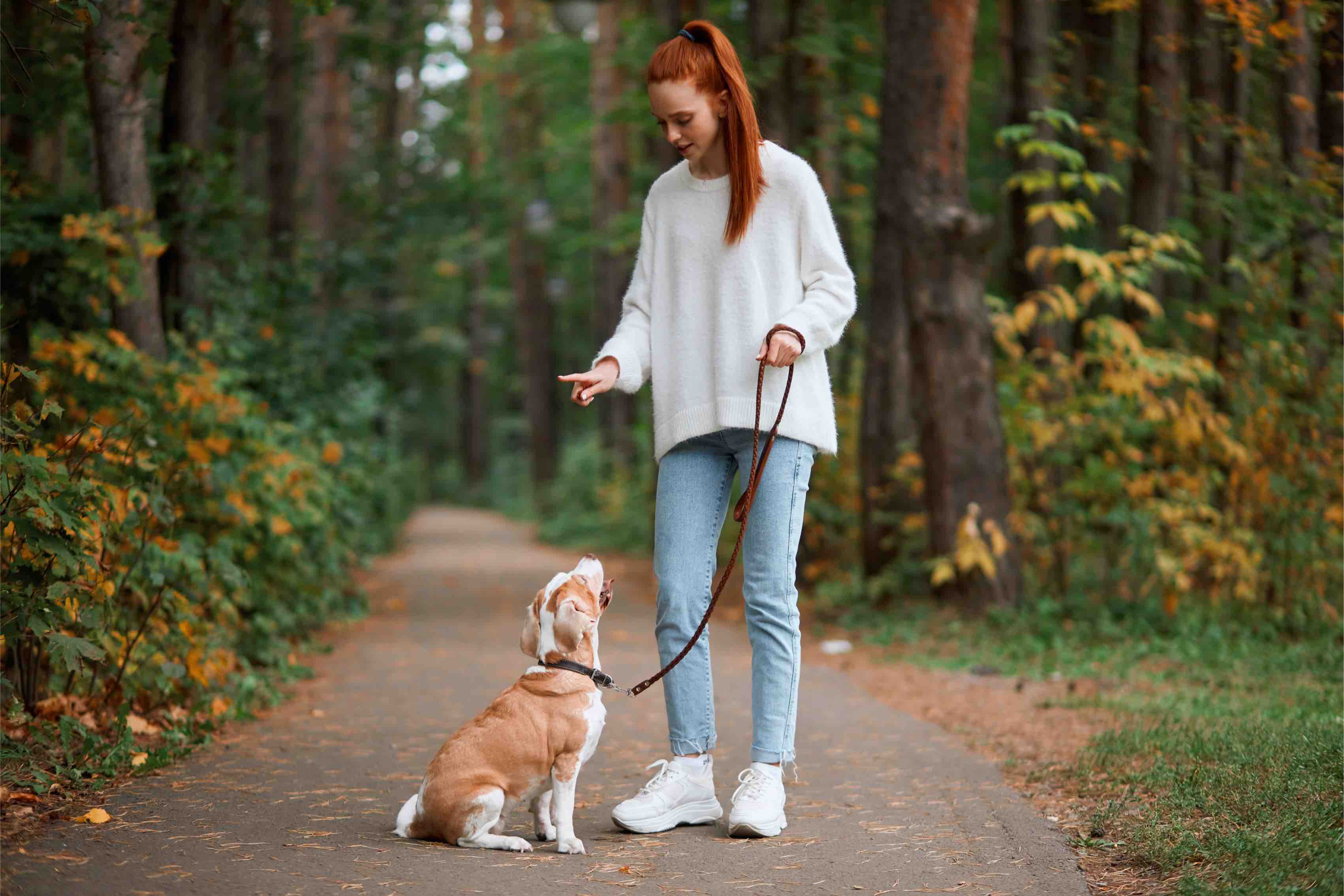 Girl and dog working on their Dog Training Elite Panama City training on a walk in the park.