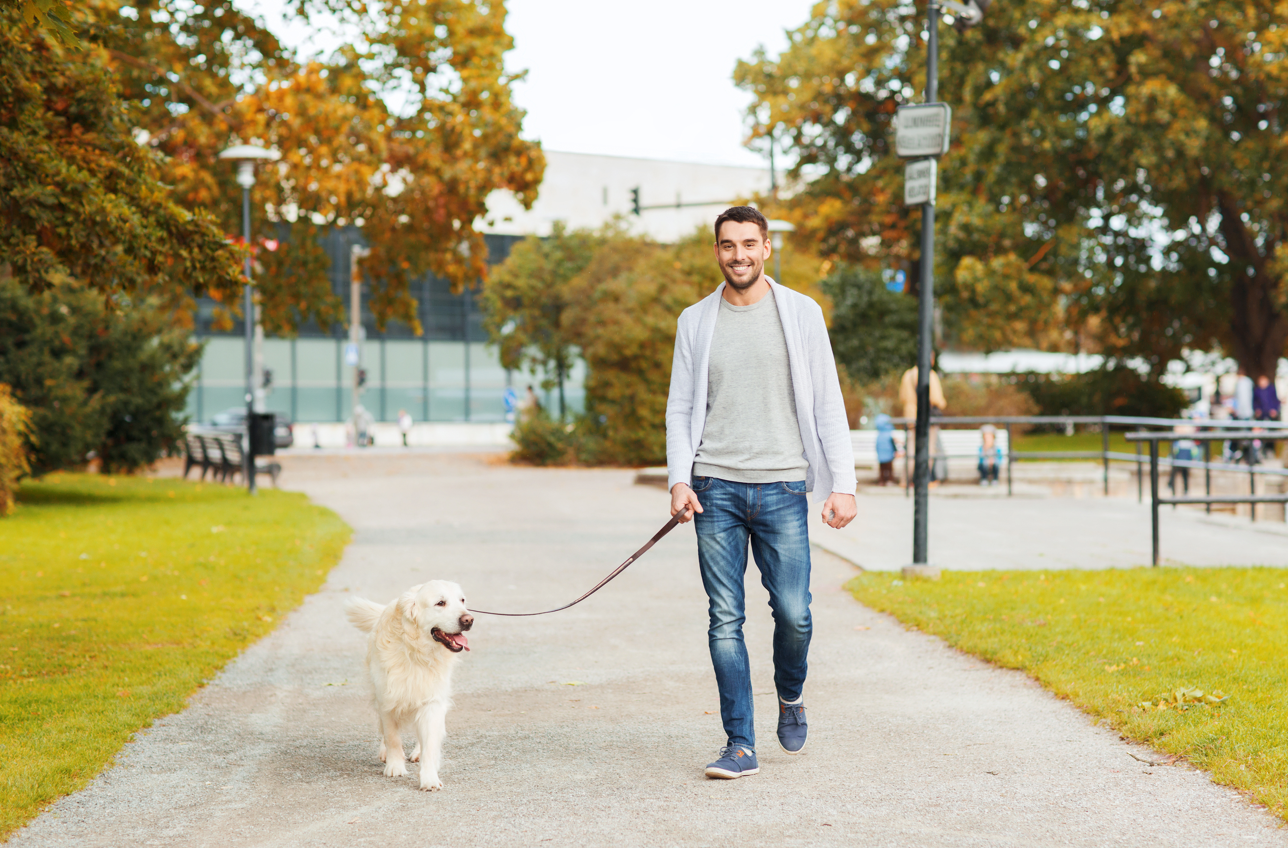 Navigating Phoenix, AZ Life with a Well-Trained Dog: Overcoming City-Specific Challenges. Dog Training Elite