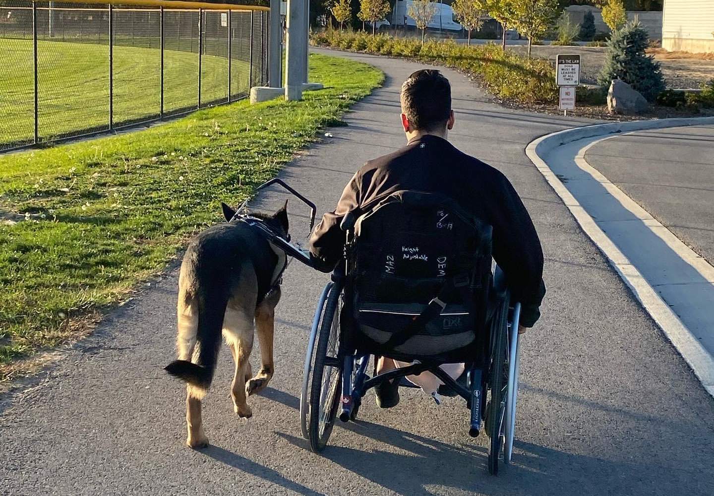 An owner with their guiding service dog - learn how Dog Training Elite of Southwest Florida can benefit you.