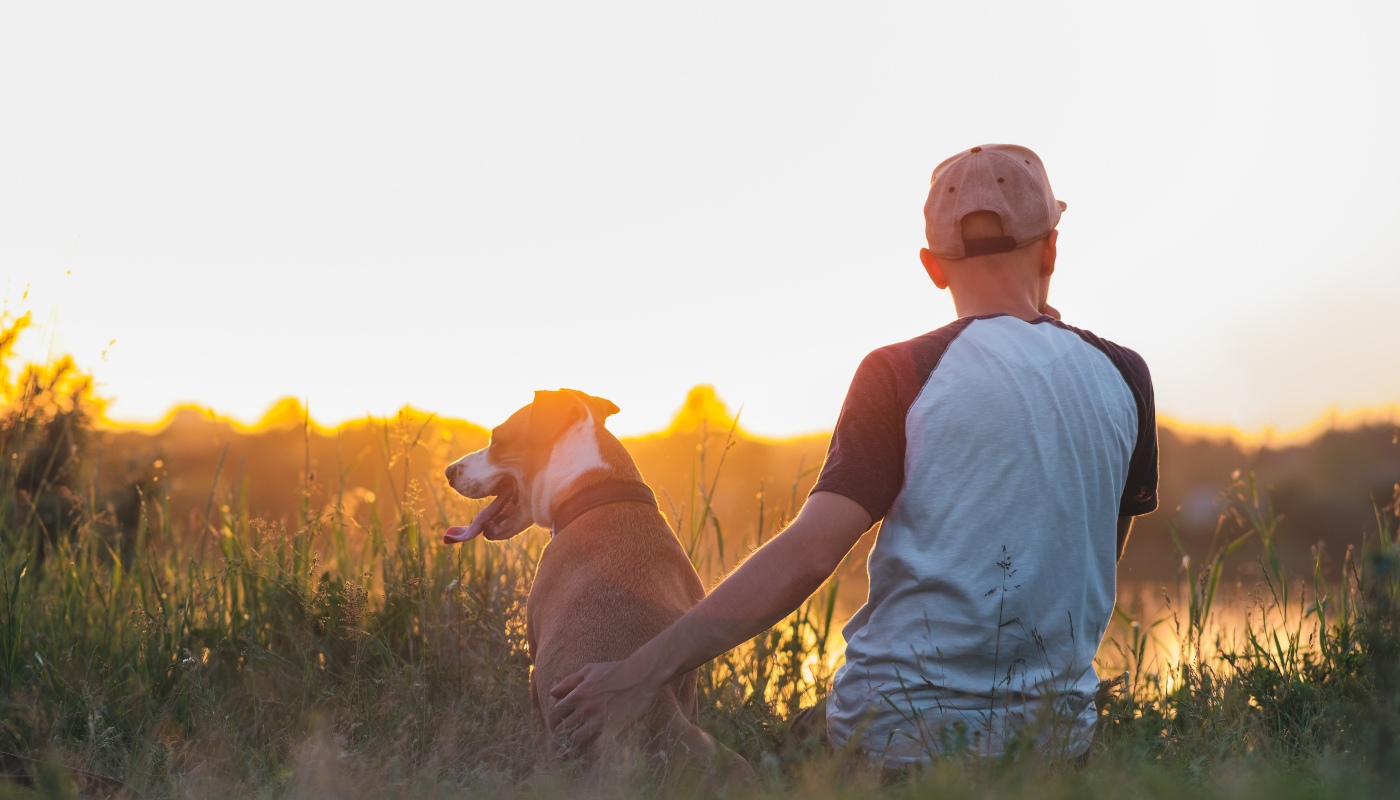 An owner and their dog sitting in a field during sunset - learn about our offerings at Dog Training Elite of Southwest Florida.