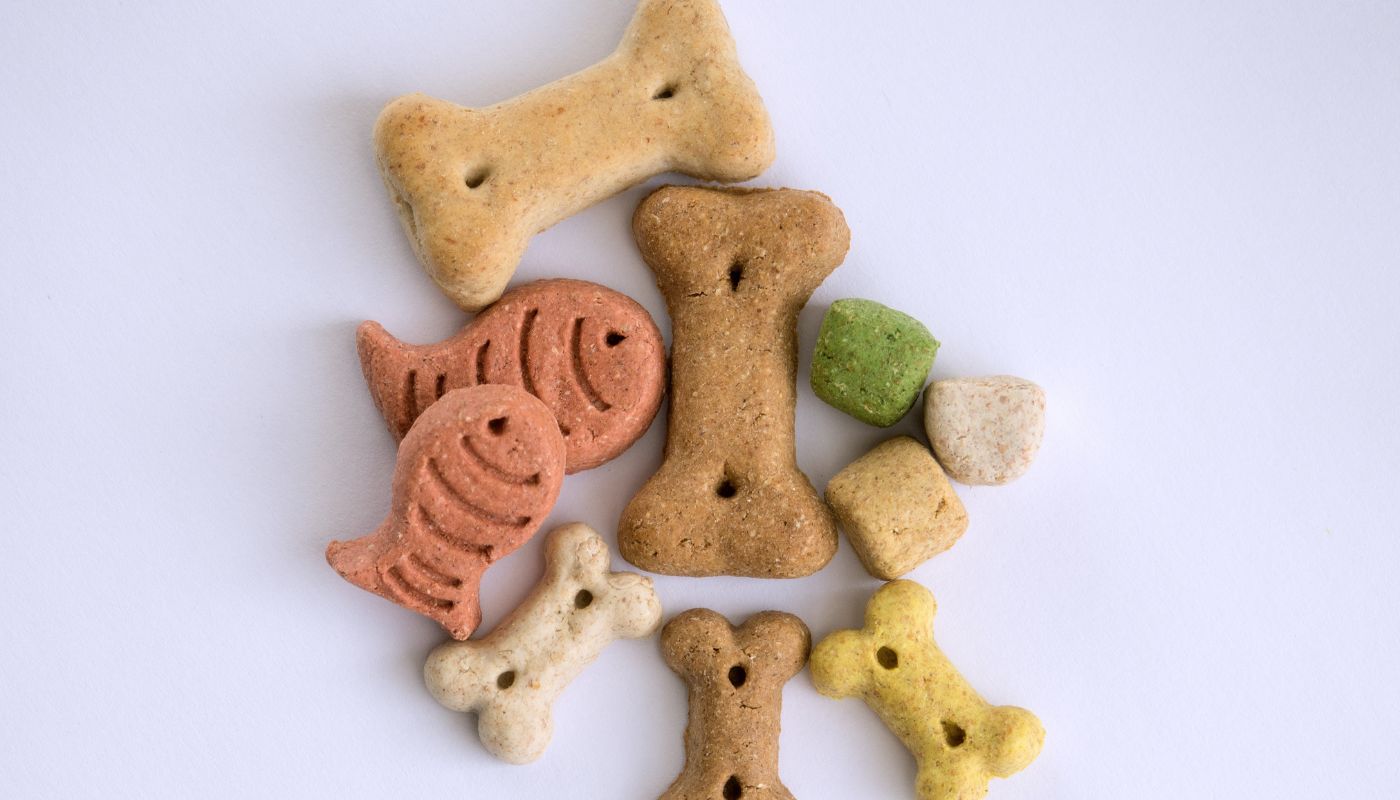 Different treats for dogs - learn why size matters for their snacks.