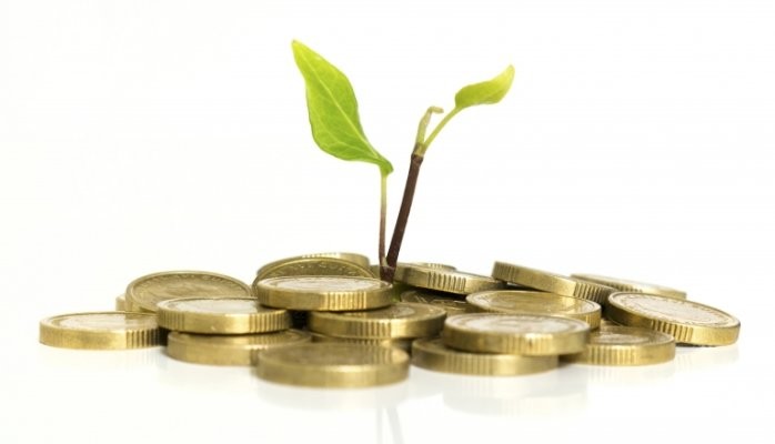Why invest in a low cost franchise?