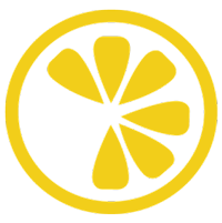 Lemon Tree Hair Salons is a haircut franchise for sale that offers support and training.