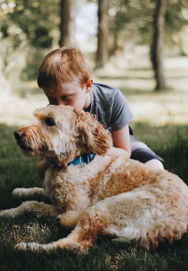 Training a service dog for disablities like autism, is a Dog Training Elite specialty.