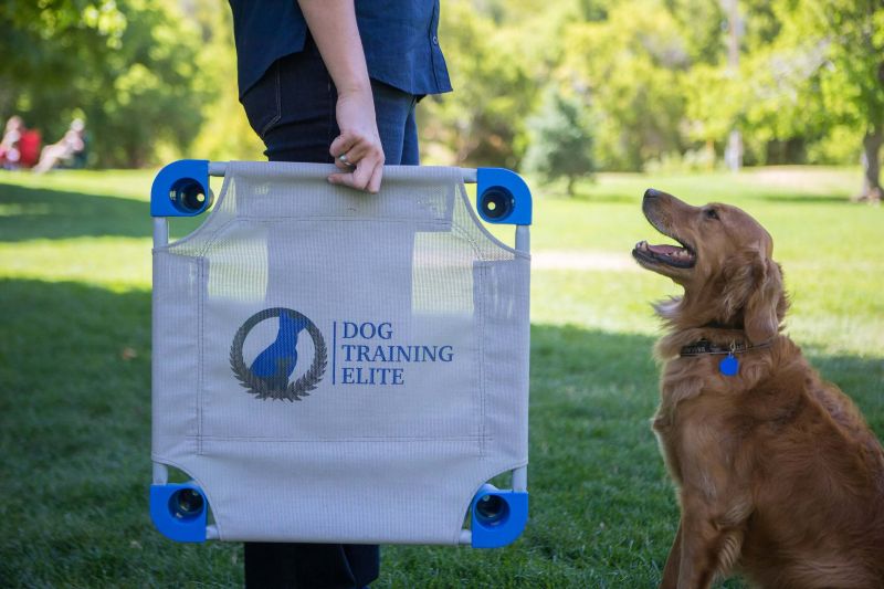 Dog Training Elite offers professional dog obedience training near you.