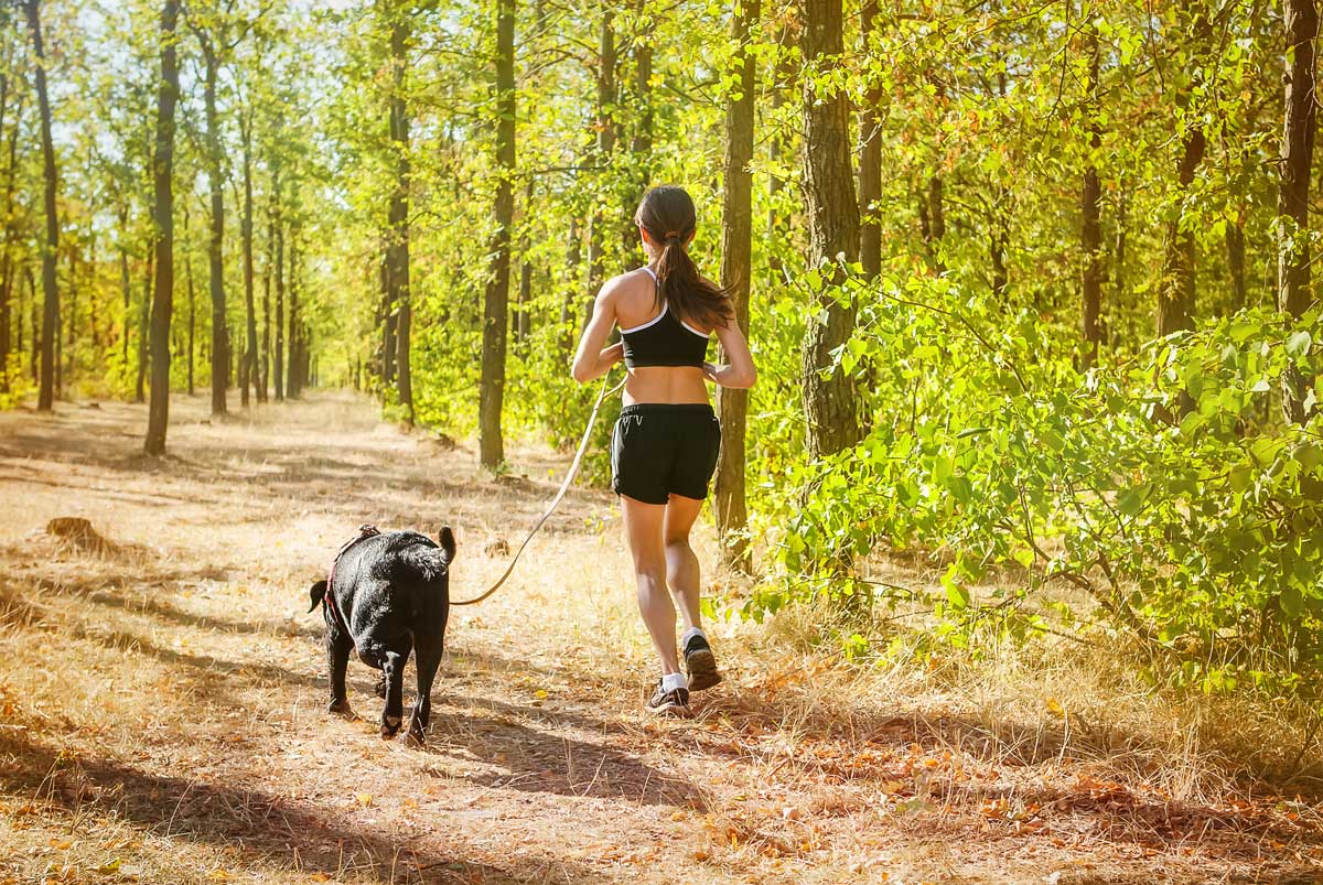 An owner and pup go for a safe, scenic run thanks to help from Dog Training Elite Metro Detroit's training.