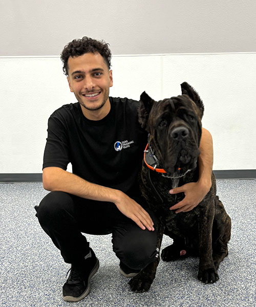 David. Dog Trainer in Gilbert