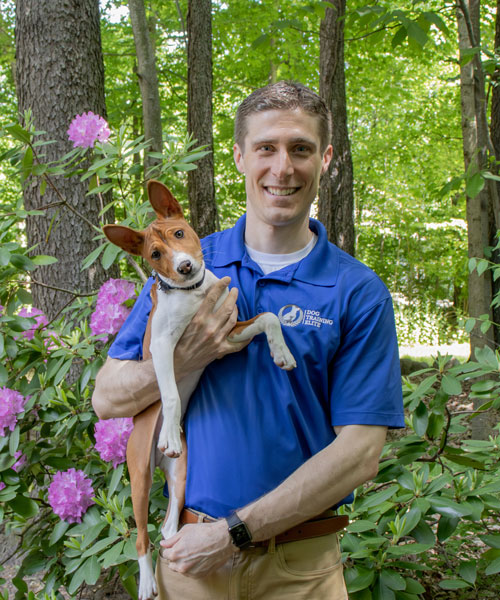 Rich Naponelli. Dog Trainer in South Bend / Elkhart