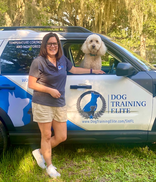 Danielle Kellington-Welsh. Dog Trainer in your local area