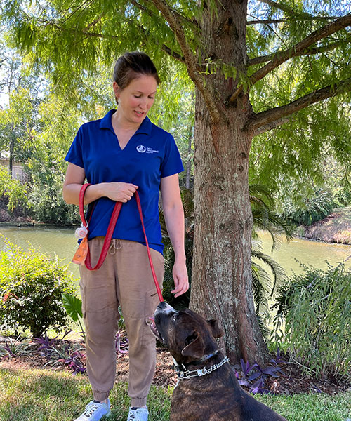 Amy Pinero. Dog Trainer in Baton Rouge